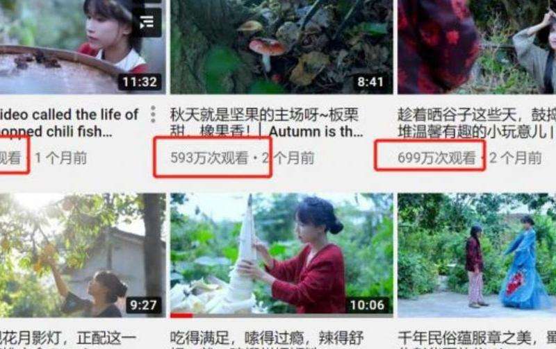 Peat在INS的粉丝数量及影响力